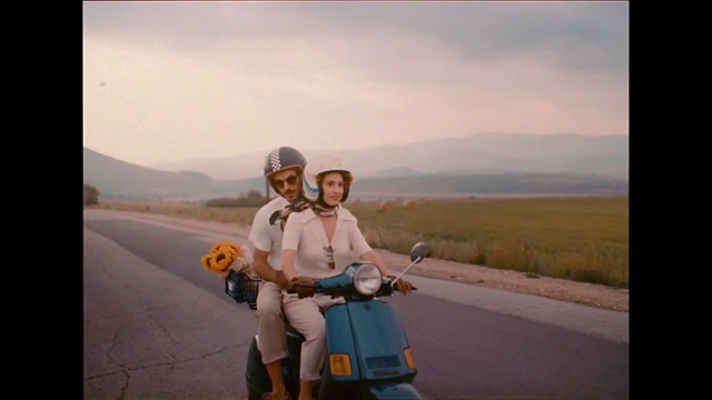 Video Reference: Sky, Cloud, Smile, Vehicle, Wheel, Tire, Automotive lighting, Plant, Gesture, Happy