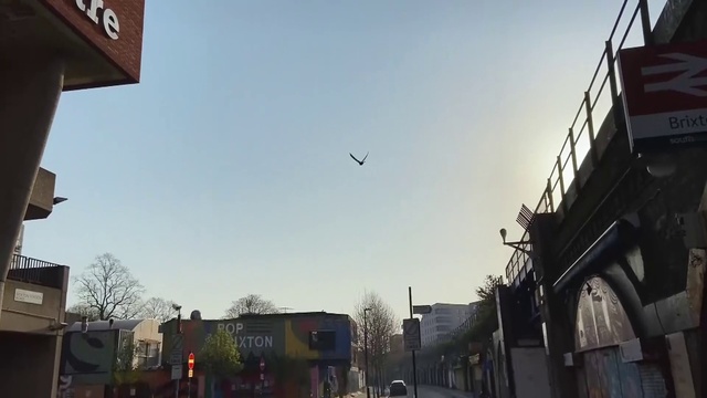 Video Reference: Sky, Cloud, Atmosphere, Daytime, Building, Light, Infrastructure, Bird, Tree, Lighting