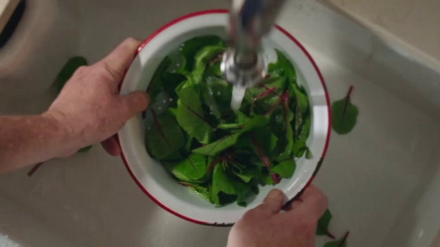 Video Reference: Food, Ingredient, Plant, Recipe, Leaf vegetable, Cuisine, Vegetable, Dish, Produce, Natural foods