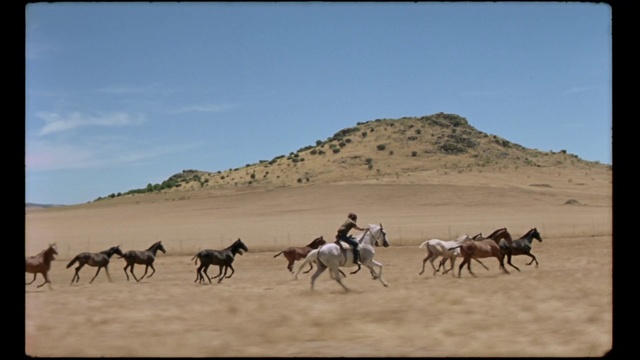Video Reference: Sky, Ecoregion, Natural environment, Working animal, Mammal, Plain, Landscape, Grassland, Pack animal, Terrestrial animal