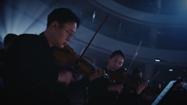 Video Reference: Musical instrument, Violin family, Musician, String instrument, String instrument, Entertainment, Musical instrument accessory, Music, Sky, Classical music