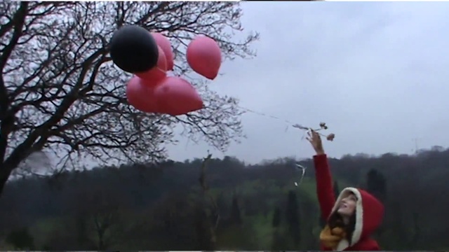 Video Reference: Sky, Balloon, Tree, Cloud, Happy, Leisure, Grass, Party supply, Event, Magenta