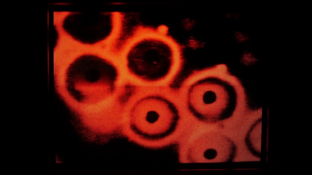 Video Reference: Font, Circle, Pattern, Art, Tints and shades, Rectangle, Gas, Entertainment, Visual arts, Event