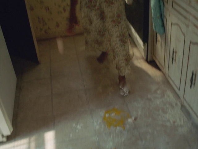 Video Reference: Felidae, Wood, Flooring, Floor, Small to medium-sized cats, Fawn, Hardwood, Human leg, Tail, Dog breed