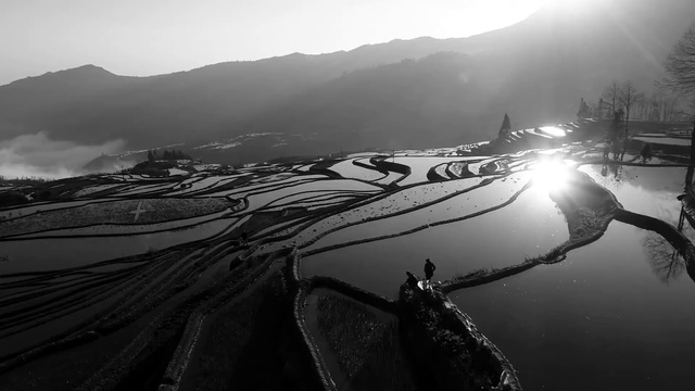 Video Reference: Sky, Water, Mountain, Atmosphere, Light, Cloud, Black-and-white, Tree, Sunlight, Style