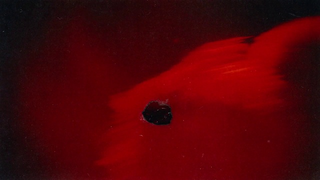 Video Reference: Automotive lighting, Motor vehicle, Automotive design, Vehicle door, Tints and shades, Automotive exterior, Magenta, Electric blue, Rose, Bumper