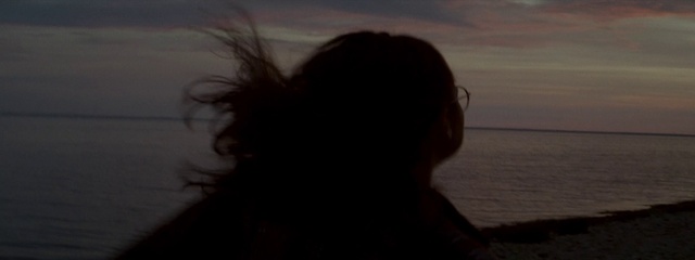 Video Reference: Cloud, Water, Sky, Jaw, Flash photography, Eyewear, Happy, Landscape, Wood, Horizon