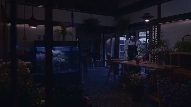 Video Reference: Plant, Table, Sky, Wood, Building, Midnight, City, House, Space, Window