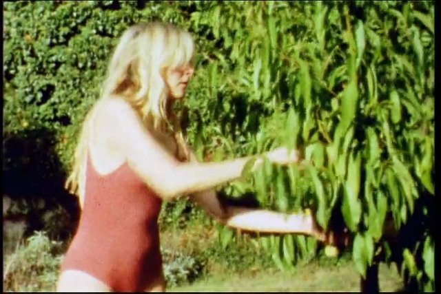 Video Reference: woman, swimsuit, outdoor, garden, tree, leaves, sunny, summer, blonde, standing, reaching, nature, yard