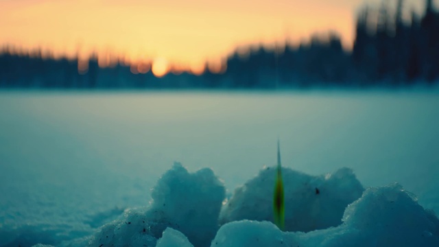 Video Reference: Atmosphere, Water resources, Snow, Azure, Nature, Natural landscape, Sunlight, Freezing, Body of water, Tree