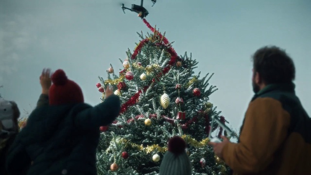 Video Reference: Christmas tree, Sky, Plant, Branch, Christmas ornament, Holiday ornament, Toy, Evergreen, Ornament, Tree