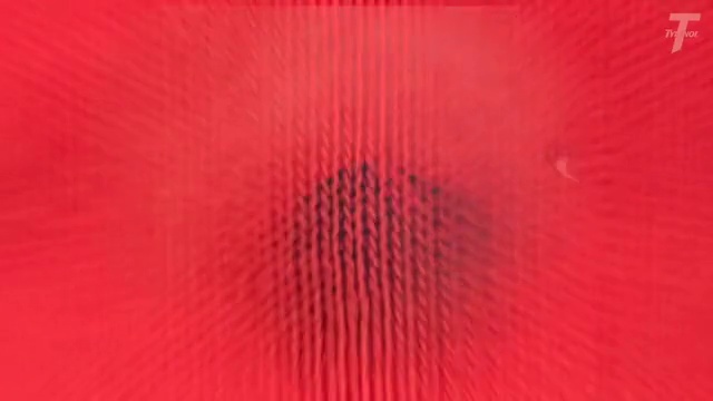 Video Reference: Tints and shades, Magenta, Plant, Pattern, Electric blue, Peach, Water, Sky, Circle, Carmine