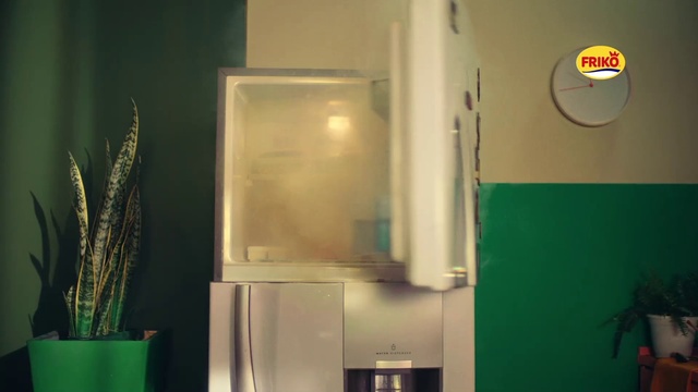 Video Reference: Green, Cabinetry, Kitchen appliance, Wood, Gas, Refrigerator, Houseplant, Glass, Flooring, Rectangle