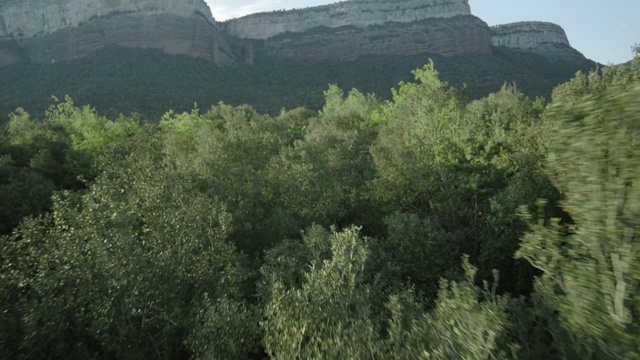 Video Reference: Plant community, Mountain, Plant, Sky, Natural landscape, Vegetation, Highland, Larch, Tree, Mountainous landforms