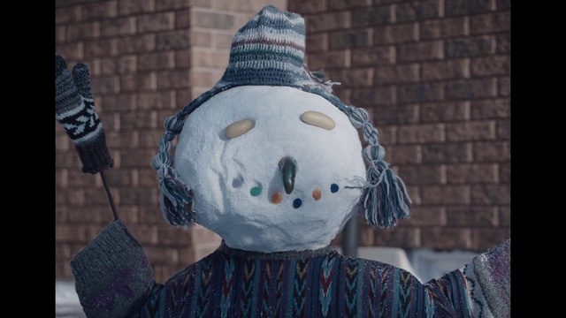Video Reference: Water, World, Scarecrow, Snowman, Art, Tree, Freezing, Winter, Lawn ornament, Event