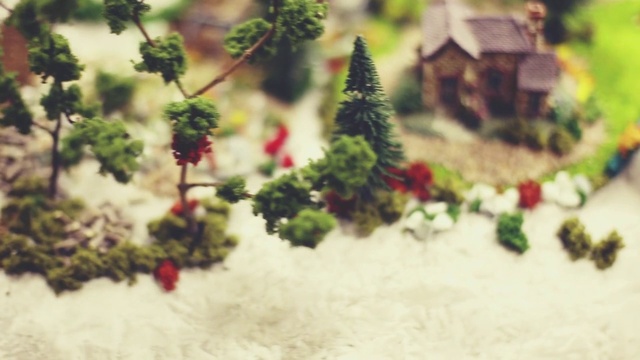 Video Reference: Toy, Window, Evergreen, Plant, Christmas ornament, Wood, Landscape, House, Twig, Tree