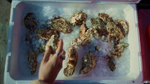 Video Reference: Ingredient, Recipe, Organism, Dish, Cuisine, Comfort food, Mixture, Dessert, Art, Snack