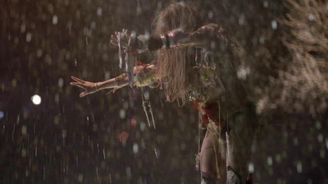 Video Reference: Water, Vertebrate, Branch, Performing arts, Twig, Grass, Entertainment, Event, Forest, Darkness