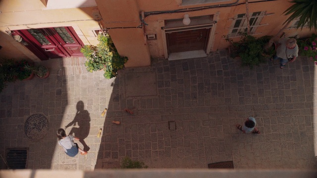 Video Reference: Plant, Building, Property, Window, Leaf, Infrastructure, Lighting, Wood, Road surface, Architecture