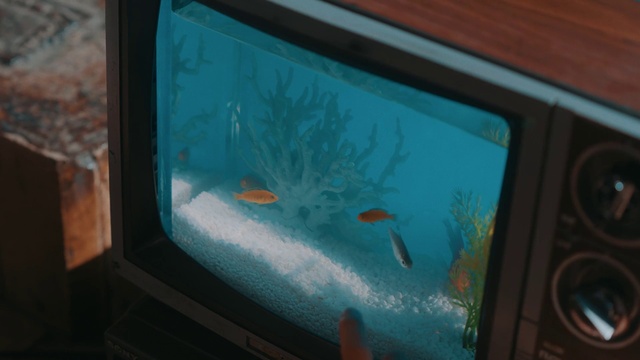 Video Reference: Water, Organism, Gadget, Wood, Glass, Display device, Automotive exterior, Electronic device, Electric blue, Technology