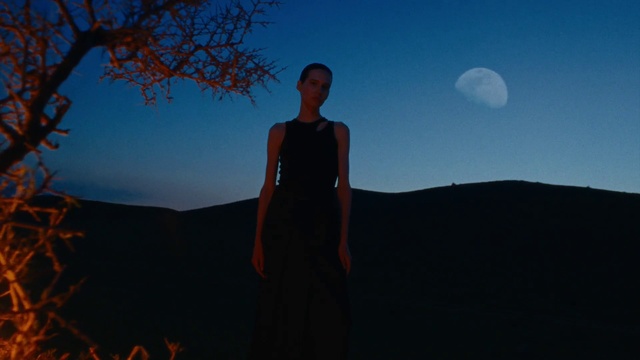 Video Reference: Sky, Ecoregion, Nature, Azure, Natural environment, Flash photography, People in nature, Moon, Sunlight, Dress