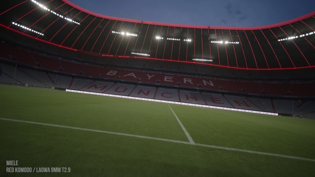 Video Reference: Atmosphere, Plant, Grass, Flooring, Road, City, Soccer, Sports, Landscape, Arena