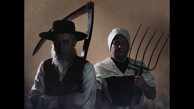 Video Reference: Outerwear, Hat, Sun hat, Gesture, Costume hat, Art, Event, Fun, Flash photography, Beard