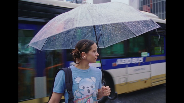 Video Reference: Bus, Umbrella, Infrastructure, Architecture, Travel, Tire, Wheel, Shade, Tour bus service, Tints and shades