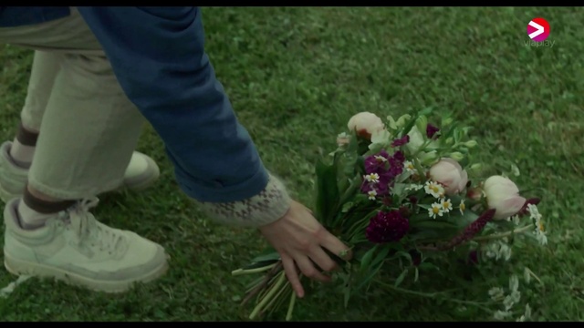 Video Reference: Flower, Plant, People in nature, Petal, Grass, Groundcover, Grass family, Flower Arranging, Meadow, Shrub