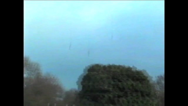 Video Reference: outdoor, sky, trees, treetops, landscape, blurred, daytime, nature, hazy, empty