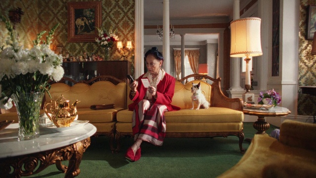 Video Reference: Property, Couch, Furniture, Table, Plant, Picture frame, Comfort, Lighting, Lamp, Decoration