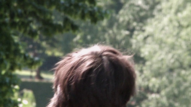 Video Reference: Liver, Fawn, Dog breed, Grass, Companion dog, Tail, Tree, Fur, Terrestrial animal, Forest