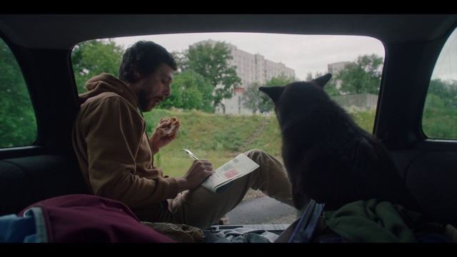 Video Reference: Tree, Travel, Sky, Comfort, Tints and shades, Leisure, Recreation, Landscape, Sitting, Conversation