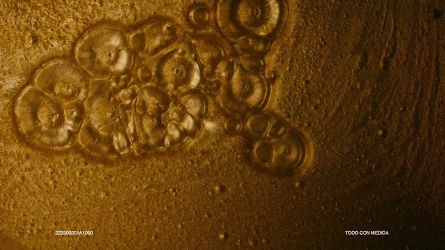 Video Reference: Brown, Amber, Gold, Wood, Artifact, Art, Font, Metal, Geology, Circle