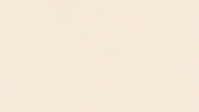 Video Reference: Brown, Beige, Pattern, Event, Font, Peach, Rectangle, Electric blue, Brand, Circle