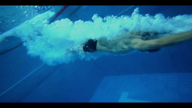 Video Reference: Water, Watch, Azure, Liquid, Fluid, Organism, Underwater, Aqua, Electric blue, Marine biology