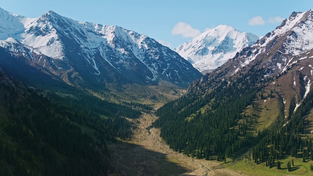 Video Reference: Sky, Mountain, Plant, Snow, Cloud, Natural landscape, Tree, Slope, Larch, Terrain