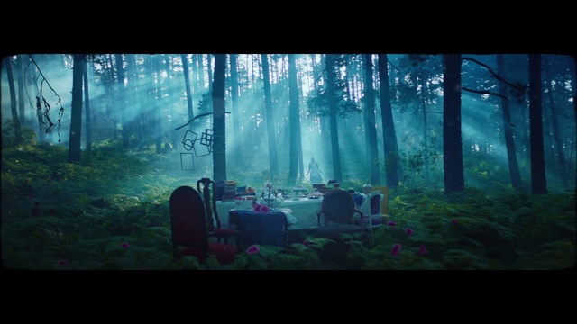 Video Reference: Plant, Natural landscape, Tree, People in nature, Sky, Wood, Vegetation, Sunlight, Trunk, Terrestrial plant