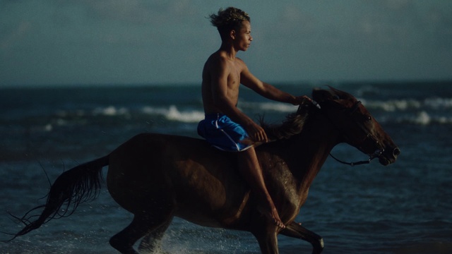Video Reference: Horse, Water, Sky, Shorts, Working animal, Horse tack, Horse supplies, Saddle, People on beach, Bridle