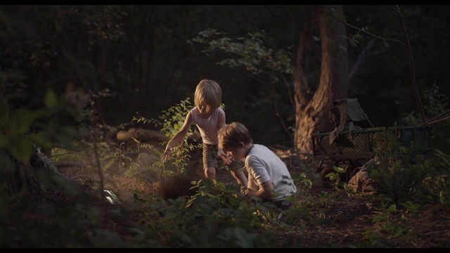 Video Reference: Plant, Flash photography, People in nature, Wood, Happy, Fawn, Tints and shades, Grass, Natural landscape, Landscape