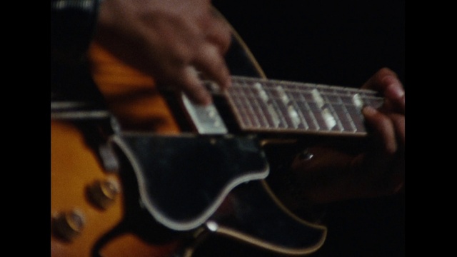 Video Reference: Musical instrument, Guitar, String instrument, Musician, Guitar accessory, String instrument accessory, Plucked string instruments, Musical instrument accessory, Wood, Concert