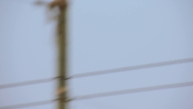 Video Reference: Water, Sky, Wood, Fence, Twig, Parallel, Wire, Metal, Electric blue, Event