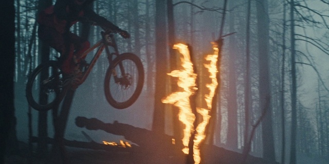 Video Reference: Tire, Atmosphere, Wheel, Plant, Sky, Wood, Tree, Bicycle wheel, Bicycle frame, Bicycle tire