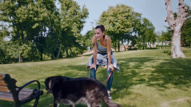 Video Reference: Plant, Dog, Sky, Dog breed, Tree, Carnivore, Grass, Leisure, Companion dog, Summer