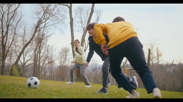 Video Reference: Sky, Plant, Soccer, Sports equipment, People in nature, Tree, Football, Ball, Grass, Happy