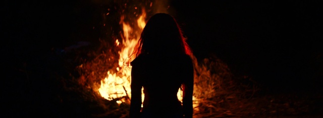 Video Reference: Bonfire, Fire, Flame, Heat, Gas, Geological phenomenon, Event, Darkness, Campfire, Tree