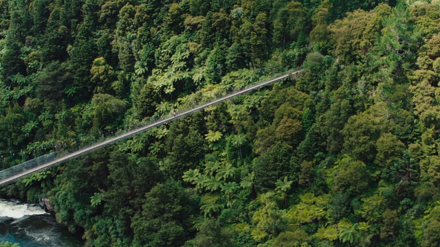 Video Reference: Terrestrial plant, Tree, Natural landscape, Bridge, Slope, Landscape, Water, Forest, Temperate broadleaf and mixed forest, Road