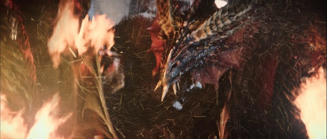 Video Reference: Vertebrate, Grass, Wood, Fire, Event, Darkness, Heat, Soil, Smoke, Sky