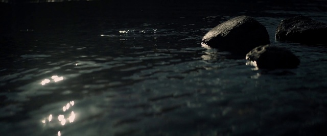 Video Reference: Water, Liquid, Wood, Lake, Darkness, Reflection, Ocean, Wind wave, Natural landscape, Monochrome photography