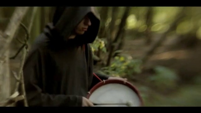 Video Reference: Natural environment, Flash photography, Tree, Happy, Wood, Forest, Grass, Darkness, Sitting, Jungle